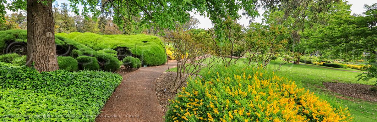 Peter Bellingham Photography Japanese Garden - Cowra